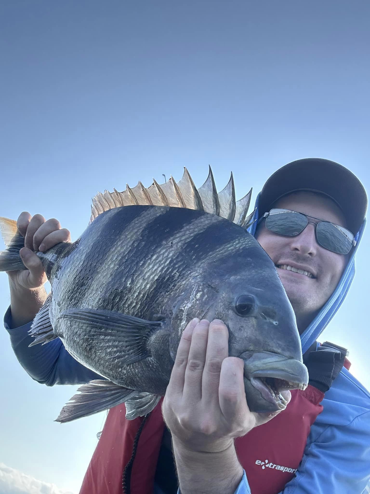 How to Catch More Sheepshead